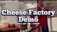 Volendam Cheese Factory Demo Tour Amsterdam | what e this