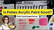 Is Pebeo Acrylic Paint Good? (My Review)