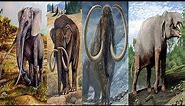 Prehistoric Elephants