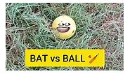 BAT vs BALL 🏏 | They fight 🤣 #cricket #cricketlover #bat #ball #wicket #worldcup #india #indvsnz #viratkohli #shami #run #out #six #reality #relatable #comedyreels #funnyreels #reelsinstagram #reelitfeelit #reelsfb | Thethar Puns
