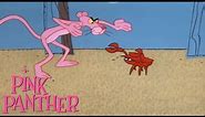 The Pink Panther in "Reel Pink"