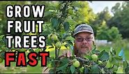 How to Quickly Grow Fruit Trees in the Backyard Orchard
