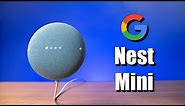 Setting Up the Google Nest Mini, New Features & World Wide Duo Calls
