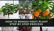 How to Bonsai Fruit Plant Step by Step
