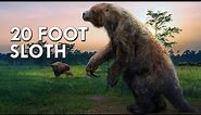 When Sloths Were 20 Feet Tall