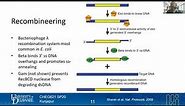 34 Recombineering | Genome Engineering Tools | Lecture 16 | Metabolic Engineering | SP20