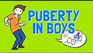 Wellcast - All About Boys Puberty