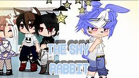 the shy bunny|| love ￼story||boy x boy x boy