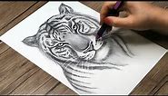 How to Draw a Realistic Tiger Head | Tiger Face Drawing Step by Step