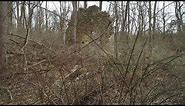 The Abandoned ruins of Milford Mills - Marsh Creek State Park