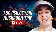 Live Psilocybin Mushroom Experience