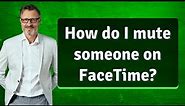 How do I mute someone on FaceTime?