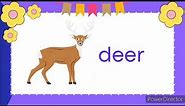 Letter Dd | Letter Sounds | Letters of the Alphabet | Phonics | Read and Learn Words with Letter Dd