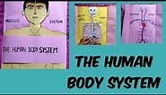 Human body system💀👦👦 #human body system science project model