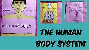 Human body system💀👦👦 #human body system science project model
