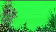 green screen trees blowing in the wind