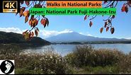 Walks in National Parks. Japan: National Park Fuji-Hakone-Izu