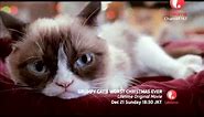 Grumpy Cats Worst Christmas Ever tv trailer