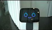 Digital Concierge Robot temi at a Singapore office lobby