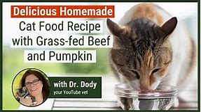 Homemade Cat Food Recipe in just 15 minutes!