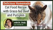 Homemade Cat Food Recipe in just 15 minutes!