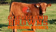 The Cleveland Browns - Professional Football's Lolcow