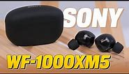 Trải nghiệm SONY WF-1000XM5: tai nghe TWS chống ồn chủ động tốt nhất thế giới ???