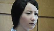 Japanese nurse robot (Actroid-F) 2010