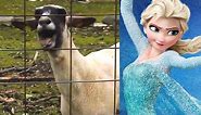 Let It Goat - Disney Frozen (Edition)
