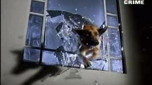 Komisarz Rex S05E03 (Ksiądz w niebezpieczeństwie)