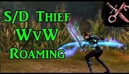 Sword Dagger Thief - GW2 WvW Roaming Build Guide