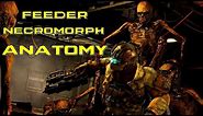 Feeder Necromorph Anatomy | Feeder death scene, story, origins and audio logs | Dead Space 3 Lore