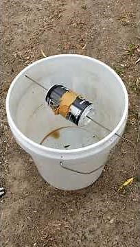 How To Make a Bucket Mouse/Rat Trap. DIY Rodent Extermination Without Poison