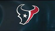 Houston Texans Flag Logo Animation