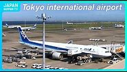 【Live】Tokyo International Airport ,Haneda Plane Spotting (NipponTV News24) IATA: HND, ICAO: RJTT