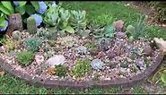 Outdoor succulent and cactus garden, tour and how to