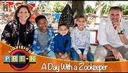 A Day With a Zookeeper | Virtual Field Trip | KidVision Pre-K