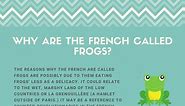 4 Reasons Why The French Are Called Frogs By British People