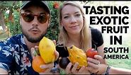 Tasting 13 Exotic Fruits You've Never Seen Before | South America