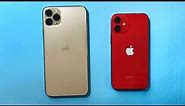 iPhone 11 Pro Max vs iPhone 12 Mini