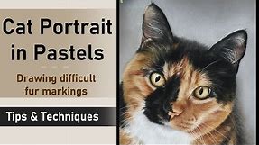 Cat Drawing in Pastels | PASTEL ART TIPS & TECHNIQUES