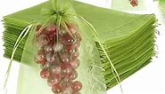 100pcs Fruit Protection Bags 8x12 inch, Green Netting Cover Bags Drawstring Mesh Fruit Protectors Pest Barrier for Grapes Mango Fruit Trees Veggies Garden