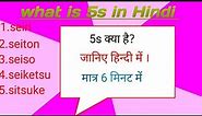 What is 5s in Hindi , what is 5s methodology ,5s किसे कहते हैं ।