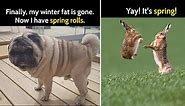 25 Funny Memes To Welcome Spring - Bouncy Mustard