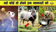 😂🤣 इन जानवरों की हरकत देख हंसी नहीं रुकेगी | Funny Animals moment caught on camera | Part 7