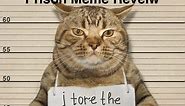 51  Jail Memes and Prison Memes Reviewed [2022 Edition] - Healing Law- Legal News and Information on Laws, Court Cases, and Police