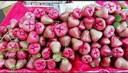 Village Fruit Markets 2018 - Wax Apple *Syzygium Samarangense* - Raw Cashew Fruit - toddy palm Fruit