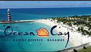Ocean Cay MSC Marine Reserve Tour & Review (MSC Cruise Line Private Island in The Bahamas)