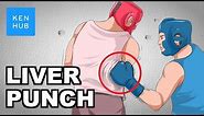 Why can't your body handle a punch to the liver? - Human Anatomy | Kenhub