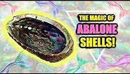 MAGICAL BENEFITS OF ABALONE SHELLS! │ VERY POWERFUL!